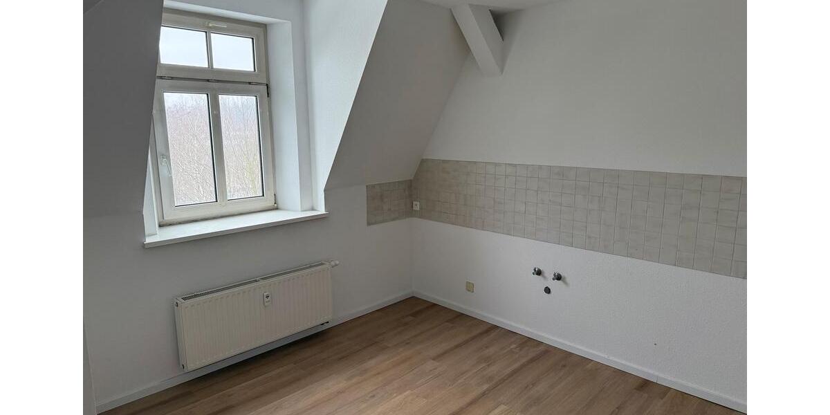 Dachgeschoßwohnung Görlitz - 1 Zimmer, 50 m&sup2;, 300&euro; | Angebot:25454583