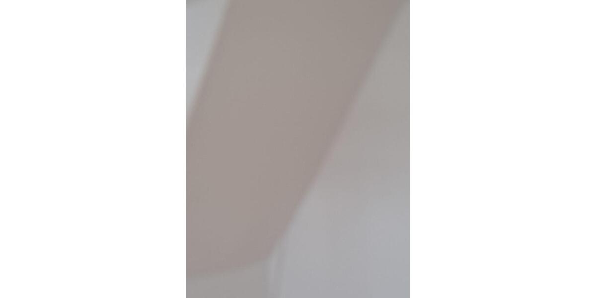 Dachgeschoßwohnung Neukieritzsch - 3 Zimmer, 46 m&sup2;, 360&euro; | Angebot:25305136