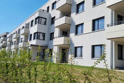 3 und 4-Zimmer-Wohnungen ab sofort zu vermieten 3 zimmer