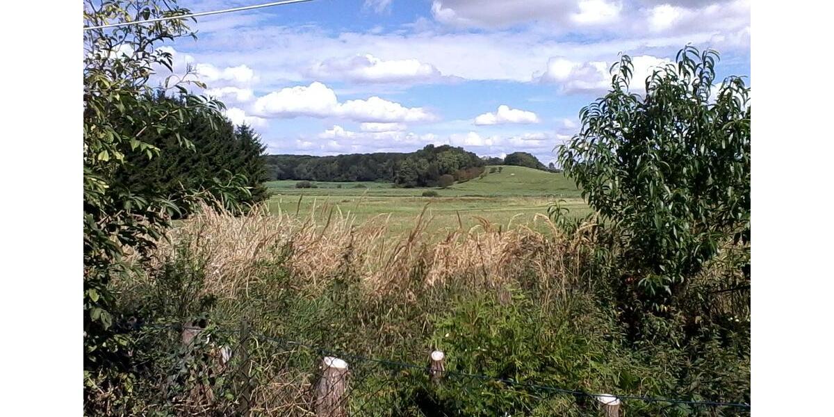 Erdgeschoßwohnung Teterow - 2 Zimmer, 42 m&sup2;, 425&euro; | Angebot:24980831