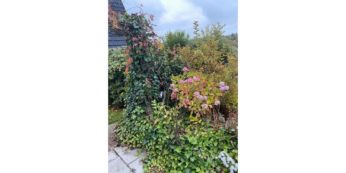 Einfamilienhaus Bad Wünnenberg - 3 Zimmer, 55 m&sup2;, 554&euro; | Angebot:24868353