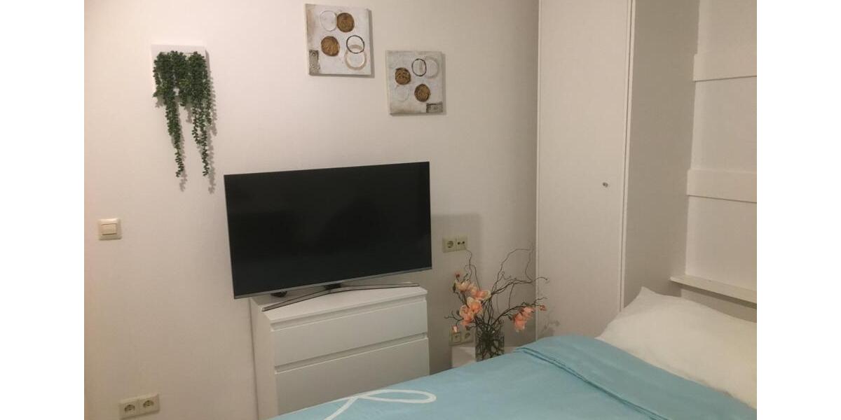 Wohnen auf Zeit Leonberg - 1 Zimmer, 18 m&sup2;, 450&euro; | Angebot:24843132