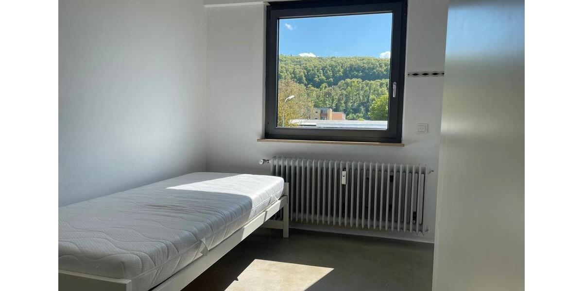 Wohnen auf Zeit Weil am Rhein - 1 Zimmer, 22 m&sup2;, 700&euro; | Angebot:26431503