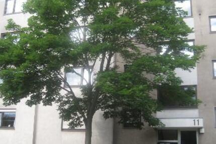 Ansprechendes, individuelles 1-Zimmer-Appartment 1 zimmer