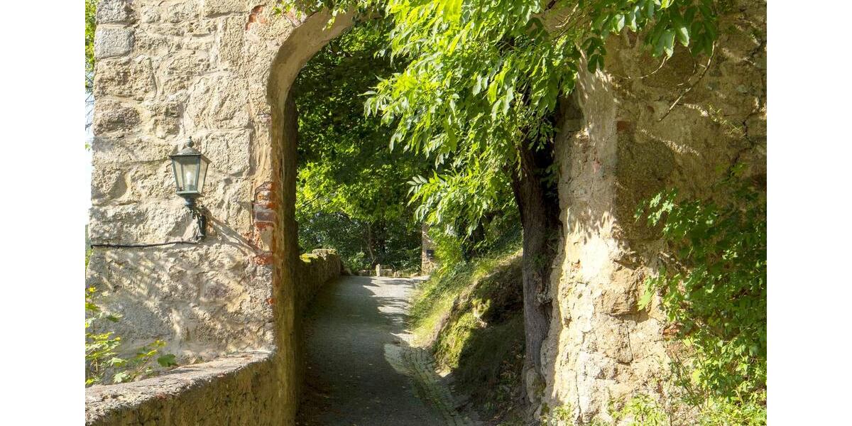 Gewerbeobjekt Nittenau - 1.590&euro; | Angebot:22533306