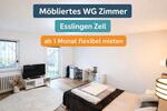 Wohnen auf Zeit Esslingen am Neckar Oberesslingen - 1 Zimmer, 20 m&sup2;, 700&euro; | Angebot:25151703