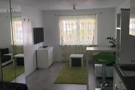 Möblierte Einliegerwohnung in Oberbrüden,Auenwald zu vermieten 1 zimmer