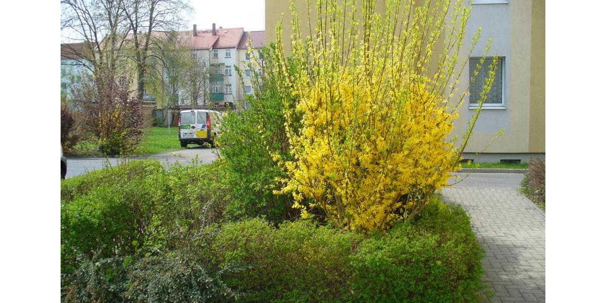 Etagenwohnung Wurzen - 2 Zimmer, 51 m&sup2;, 320&euro; | Angebot:25904340