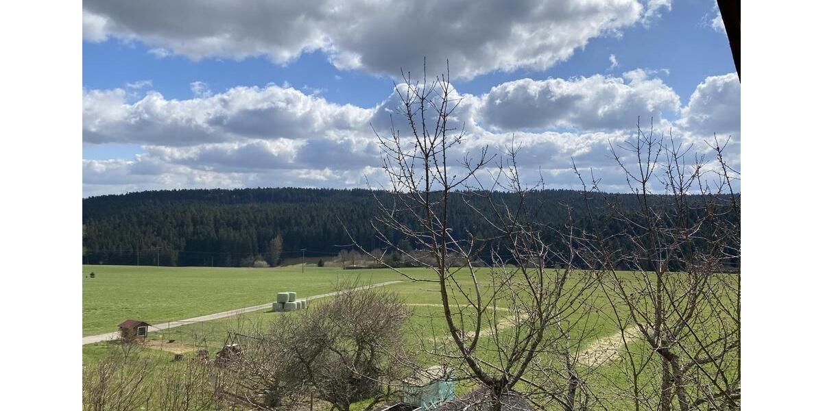 Wohnen auf Zeit Freudenstadt - 2 Zimmer, 70 m&sup2;, 890&euro; | Angebot:25654132