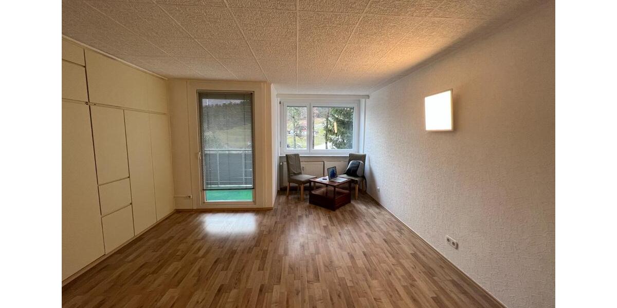 Etagenwohnung Baiersbronn - 1 Zimmer, 30 m&sup2;, 350&euro; | Angebot:25233032