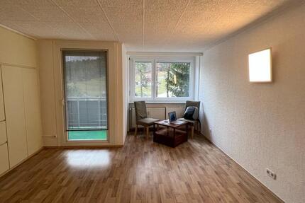 Wohnung Baiersbronn - 1 Zimmer, 30 m&sup2;, 350&euro; | Angebot:25233032