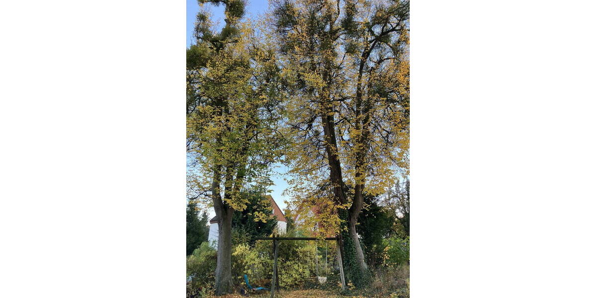 Etagenwohnung Kassel Harleshausen - 5 Zimmer, 145 m&sup2;, 1.380&euro; | Angebot:26170957