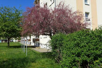 Wohnung Borna - 2 Zimmer, 48 m&sup2;, 318&euro; | Angebot:25217572