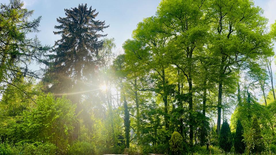 Etagenwohnung Wuppertal Gemarkung Elberfeld - 3 Zimmer, 60 m&sup2;, 605&euro; | Angebot:24637955