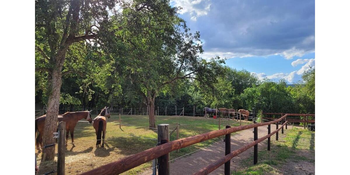 Etagenwohnung Pelm - 1 Zimmer, 16 m&sup2;, 450&euro; | Angebot:25323598