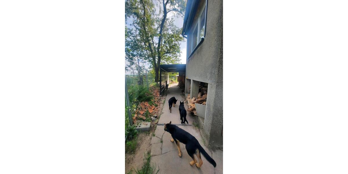 Etagenwohnung Jüterbog - 790&euro; | Angebot:25944238