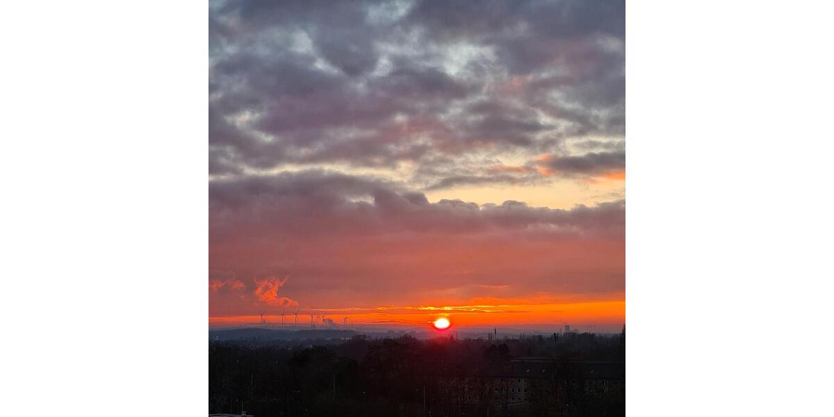 Einfamilienhaus Braunschweig Heidberg-Melverode - 2 Zimmer, 55 m&sup2;, 825&euro; | Angebot:25256926