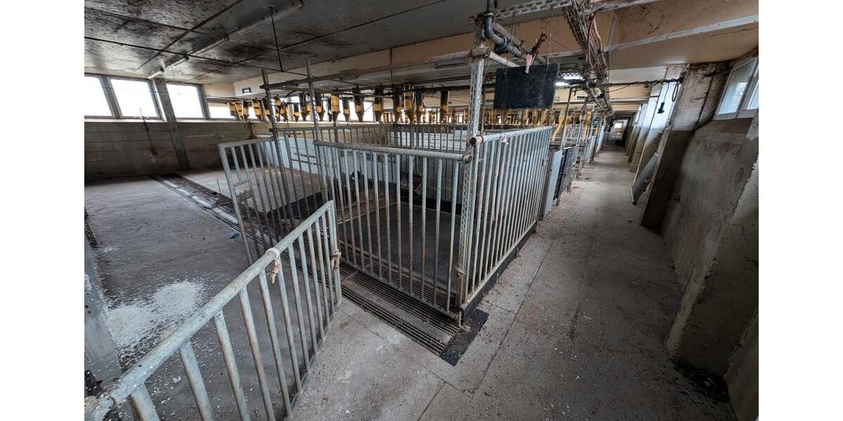 Gewerbeobjekt Jessen (Elster) - 2.800&euro; | Angebot:26460826