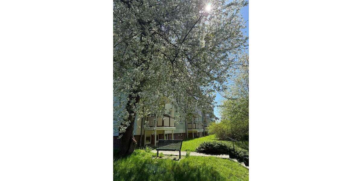 Etagenwohnung Wilkau-Haßlau Haßlau - 2 Zimmer, 52 m&sup2;, 338&euro; | Angebot:26295439