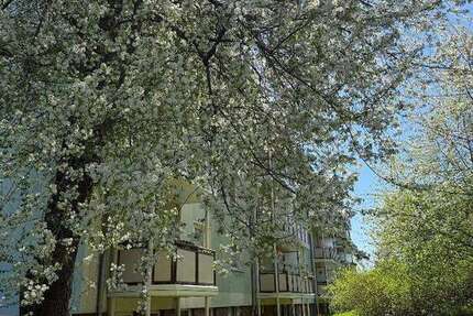 Wohnung Wilkau-Haßlau Haßlau - 2 Zimmer, 52 m&sup2;, 338&euro; | Angebot:26295439