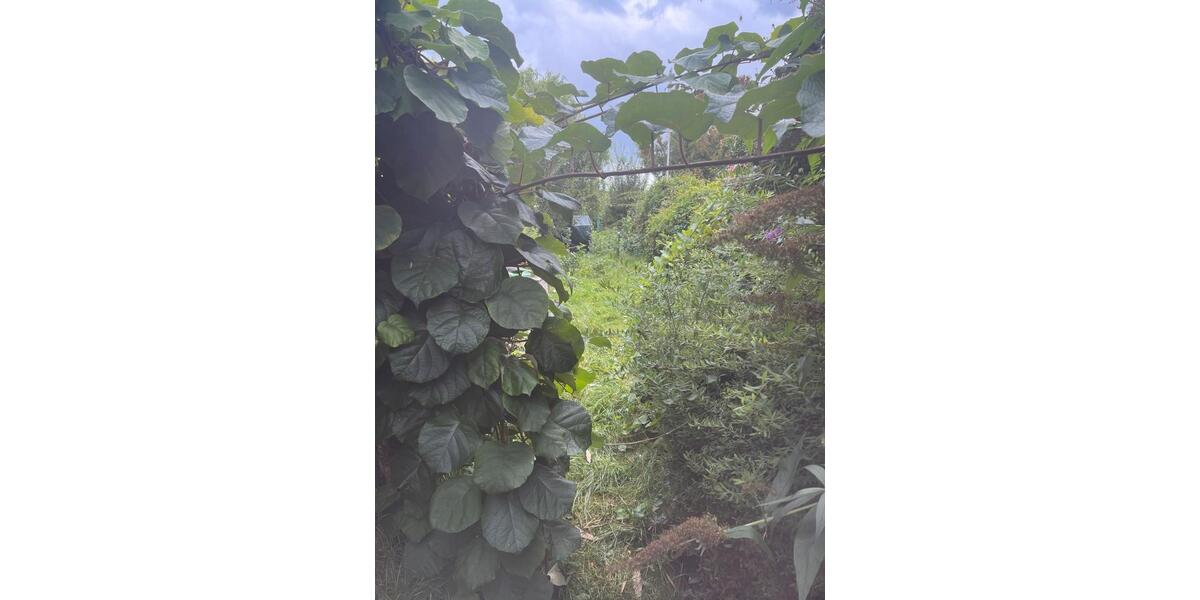 Einfamilienhaus Jemgum - 4 Zimmer, 120 m&sup2;, 1.100&euro; | Angebot:24573636