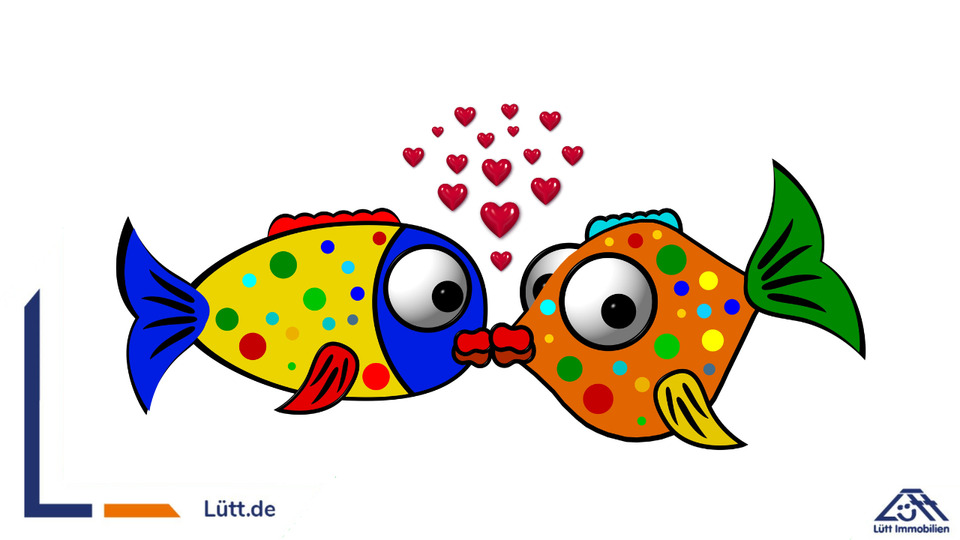 Lütjenburger Wohnungsglück | Lütt Immobilien | Ihr Immobilienmakler in Lütjenburg und Umland 3 zimmer