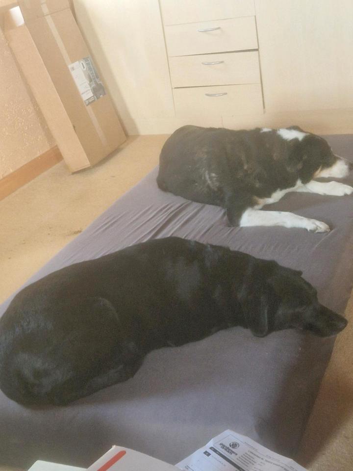 2 bis 3 Zimmer Wohnung