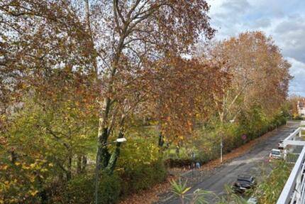 4-Zimmer-Wohnung in Friesenheim 4 zimmer