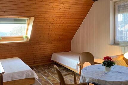 1.5 Zi Dachgeschoss Wohnung im Grünen 1.5 zimmer