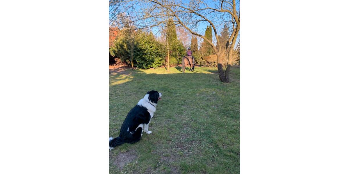 Wohnen auf Zeit Steinhöfel - 15 Zimmer, 18 m&sup2;, 350&euro; | Angebot:25757048