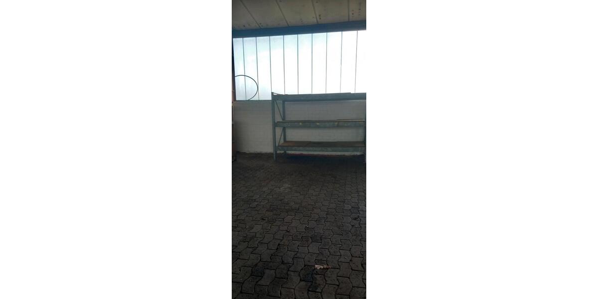 Gewerbeobjekt Nienburg (Weser) - 500&euro; | Angebot:25977272