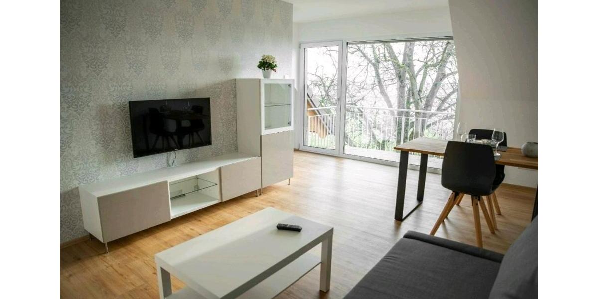 Wohnen auf Zeit Baienfurt - 2 Zimmer, 45 m&sup2;, 850&euro; | Angebot:26553477