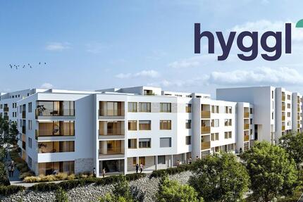 Wohnung Kassel Südstadt - 2 Zimmer, 51 m&sup2;, 720&euro; | Angebot:25080625