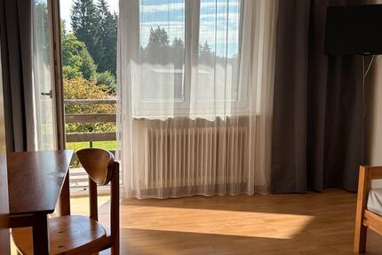 1-Zimmer Wohnung mit Balkon