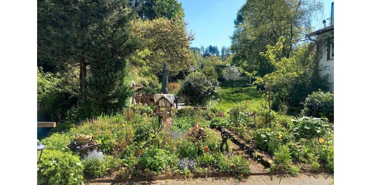 Wohnen auf Zeit Holzminden - 2 Zimmer, 570 m&sup2;, 520&euro; | Angebot:17802138