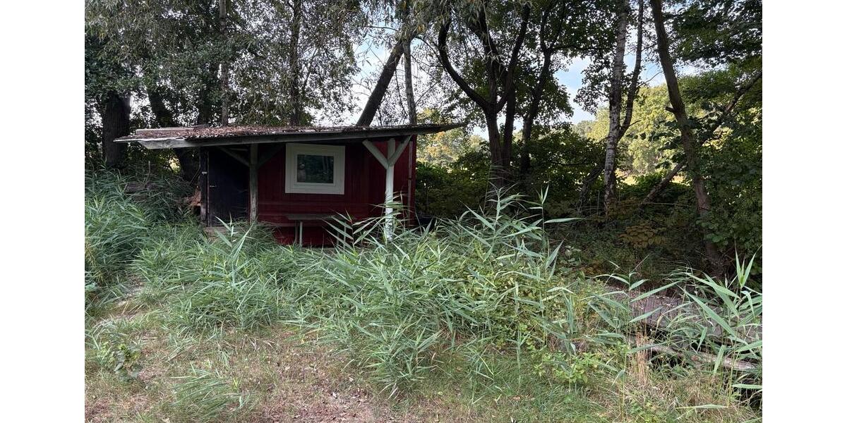 Fischteiche zu verpachten, Teich Pacht Wienhausen bei Celle zimmer