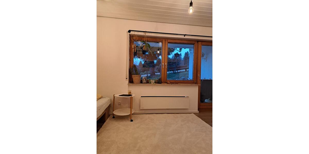 Wohnen auf Zeit Eisenbach (Hochschwarzwald) - 1 Zimmer, 30 m&sup2;, 600&euro; | Angebot:25677541