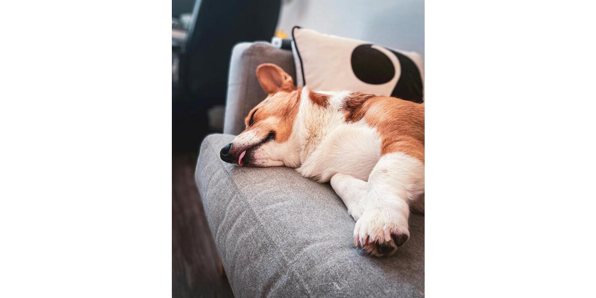 Leben, Lieben, Lachen - Hier! 5 zimmer