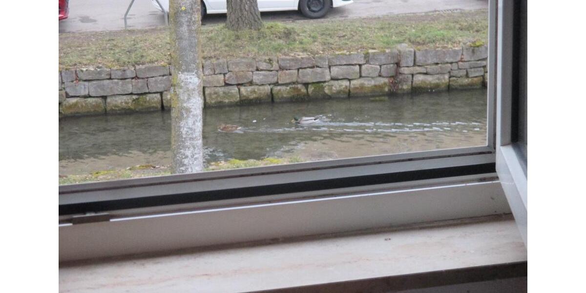 Reihenhaus Langenau - 3 Zimmer, 70 m&sup2;, 2.460&euro; | Angebot:25925465