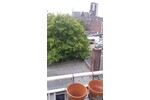 Gemütliche 2Zi. Wohnung im 2. OG 2 zimmer