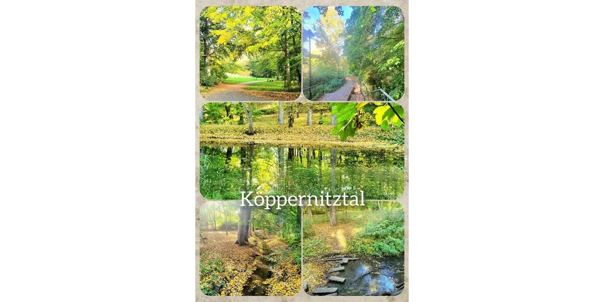 Dachgeschoßwohnung Wismar Altstadt - 5 Zimmer, 144 m&sup2;, 1.550&euro; | Angebot:25813650