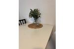 Maisonettenwohnung Ludwigshafen am Rhein Edigheim - 1 Zimmer, 14 m&sup2;, 330&euro; | Angebot:26611554