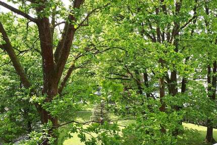 Wohnung Röthenbach an der Pegnitz Röthenbach - 2 Zimmer, 50 m&sup2;, 595&euro; | Angebot:26156634