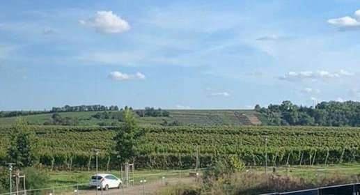 Etagenwohnung Lauffen am Neckar - 2.5 Zimmer, 77 m&sup2;, 1.065&euro; | Angebot:24773857