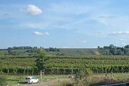 Wohnung Lauffen am Neckar - 2.5 Zimmer, 77 m&sup2;, 1.065&euro; | Angebot:24773857