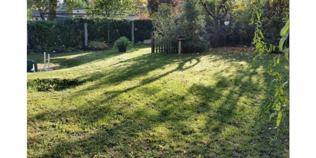 Etagenwohnung Burg - 2 Zimmer, 43 m&sup2;, 301&euro; | Angebot:25554198