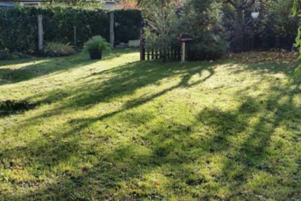 Wohnung Burg - 2 Zimmer, 43 m&sup2;, 301&euro; | Angebot:25554198