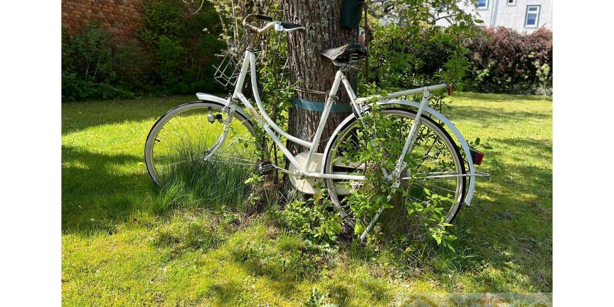 Etagenwohnung Ilmenau - 4 Zimmer, 79 m&sup2;, 735&euro; | Angebot:24801998