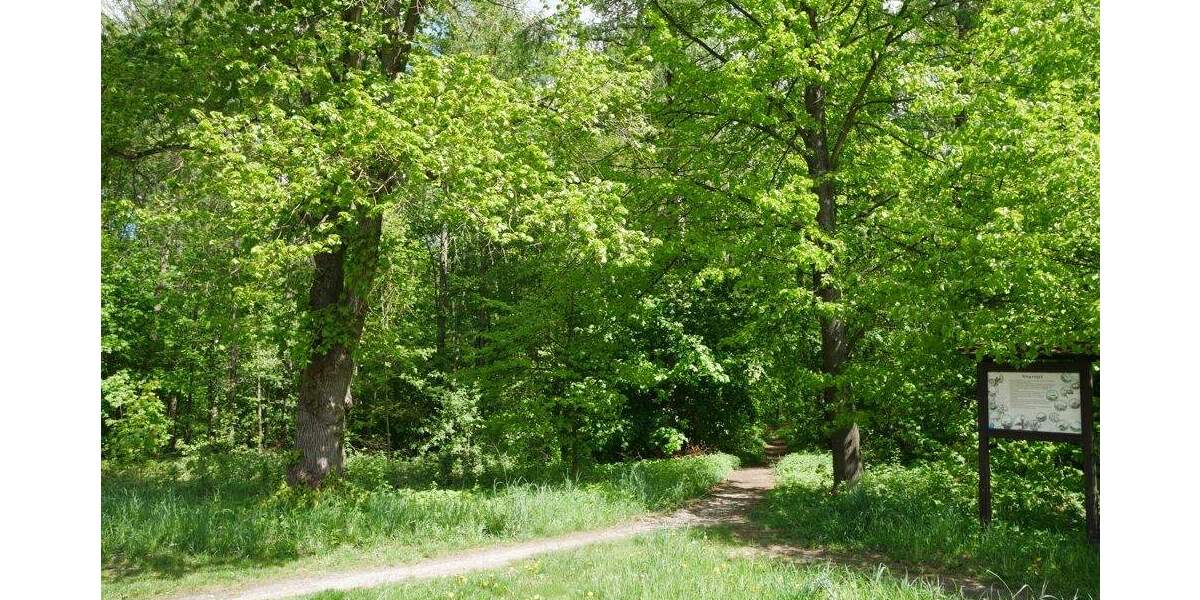 Etagenwohnung Neustadt in Sachsen Neustadt - 2 Zimmer, 47 m&sup2;, 350&euro; | Angebot:25664041