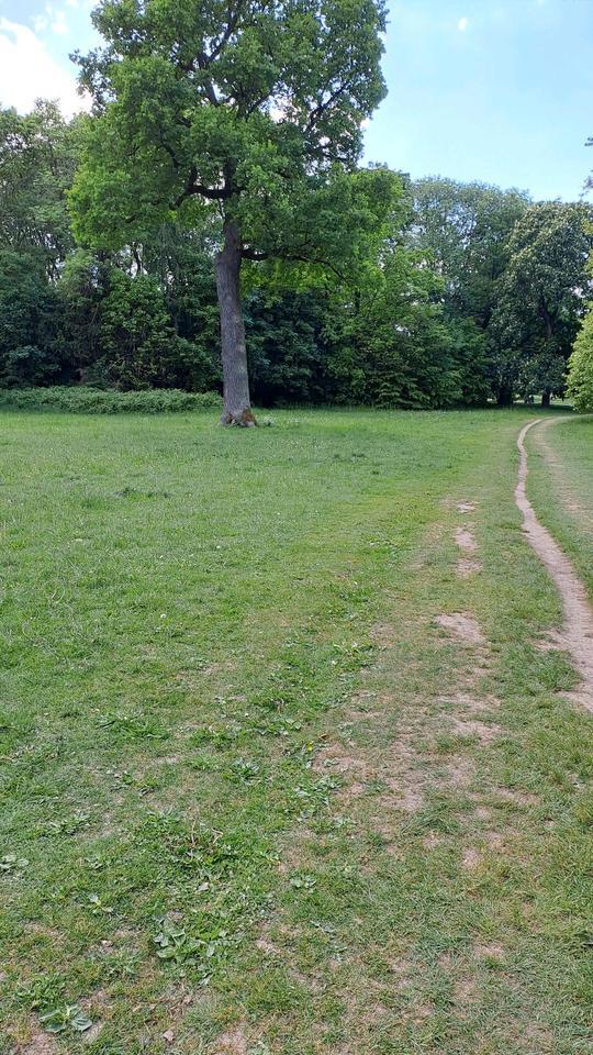 München: 3-Zimmer-Wohnung am Hirschgarten zur Zwischenmiete